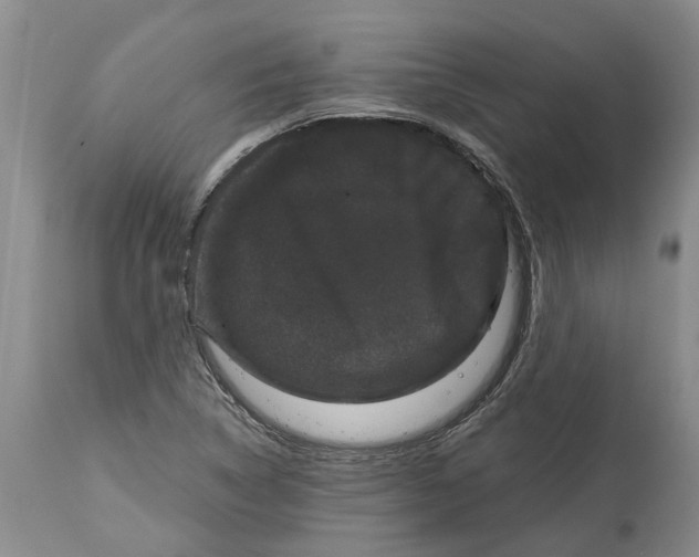 X0000114991314200911161504