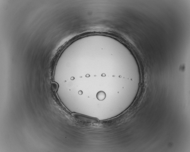 X0000114991315200911161504