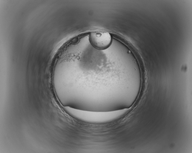 X0000114991318200911161504