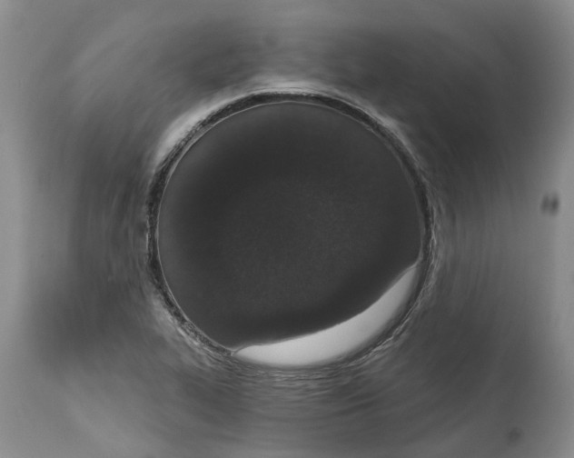 X0000114991319200911161504