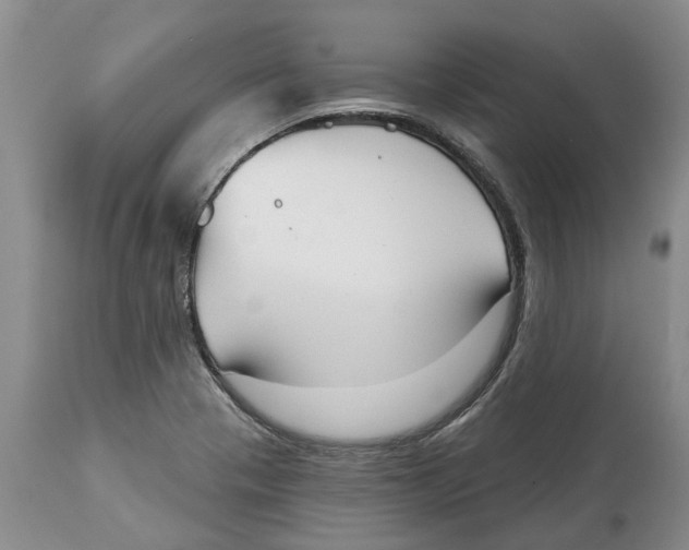 X0000114991321200911161504