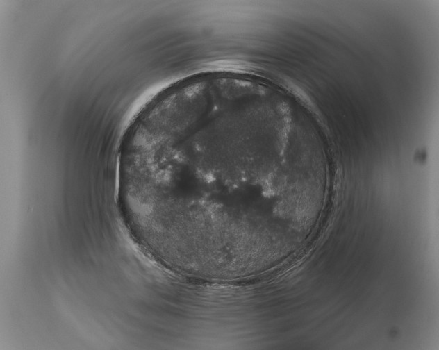 X0000114991323200911161504