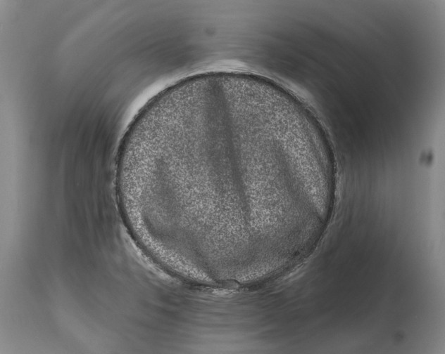 X0000114991326200911161504