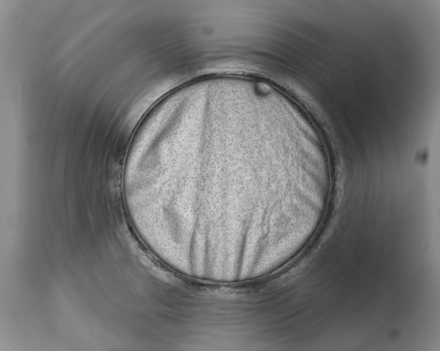 X0000114991329200911161504