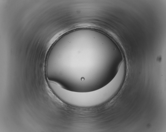 X0000114991330200911161504