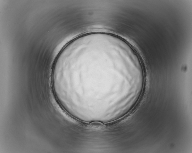 X0000114991333200911161504