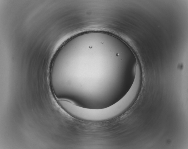 X0000114991334200911161504