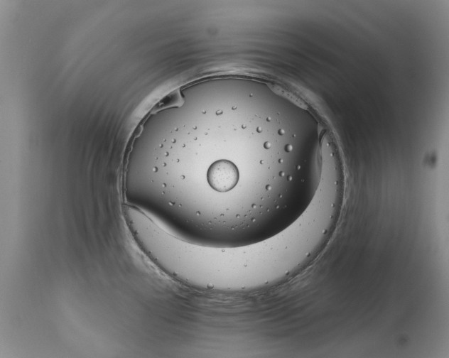 X0000114991338200911161504