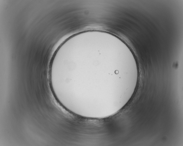 X0000114991339200911161504