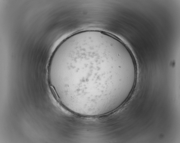 X0000114991341200911161505