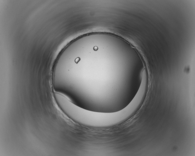 X0000114991342200911161505