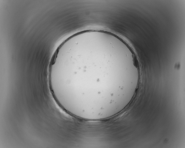 X0000114991343200911161505