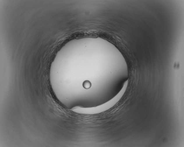 X0000114991345200911161504