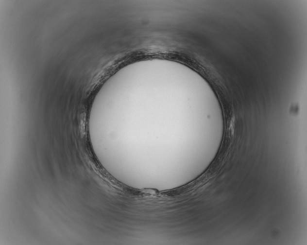 X0000114991348200911161504