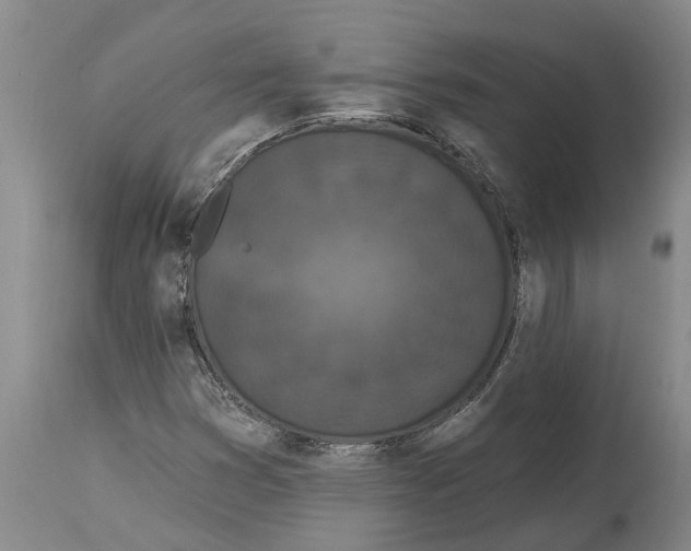 X0000114991353200911161504