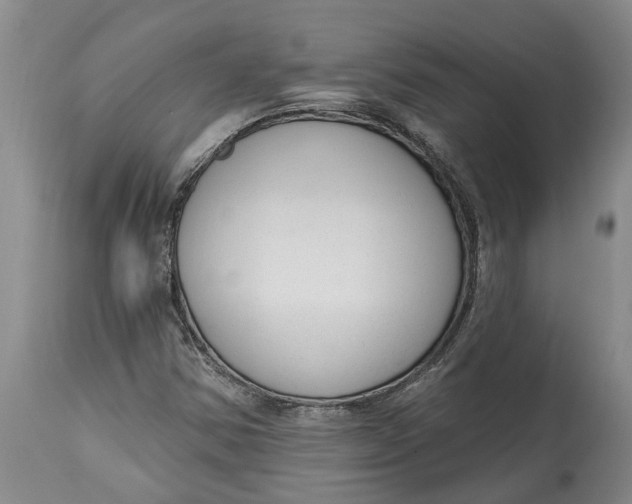 X0000114991354200911161504