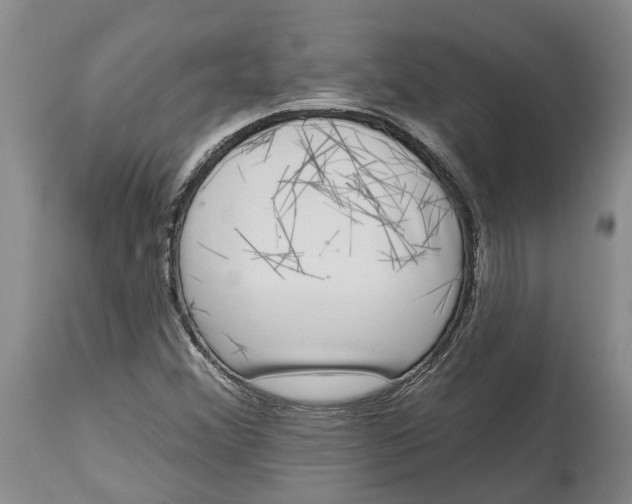 X0000114991356200911161504