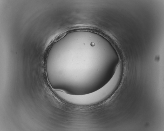 X0000114991357200911161504