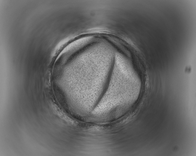 X0000114991358200911161504