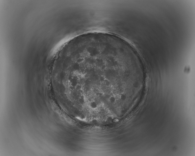 X0000114991359200911161504