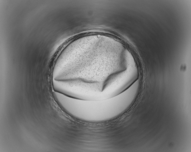 X0000114991360200911161504