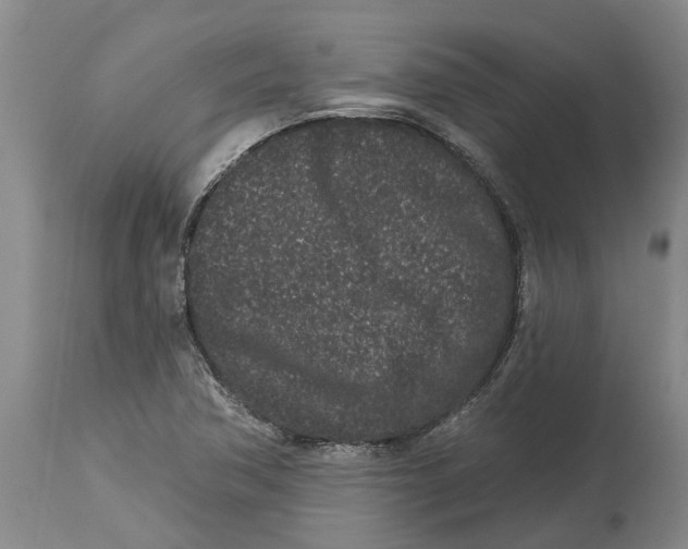 X0000114991362200911161504