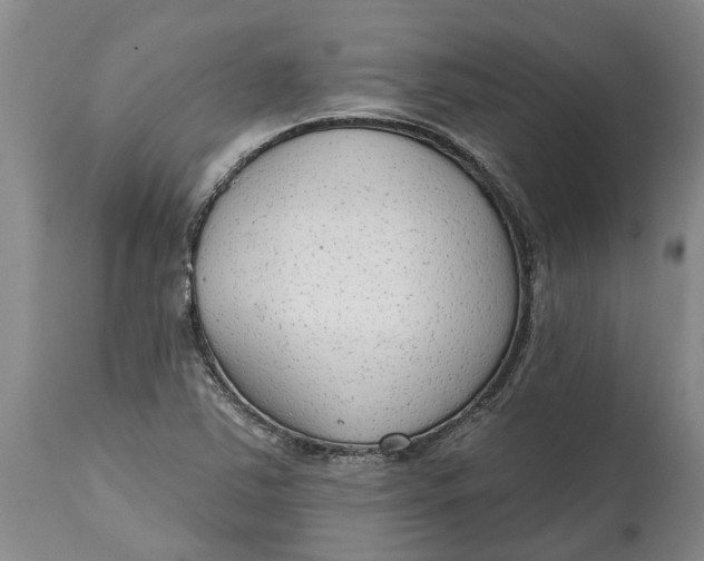 X0000114991363200911161504