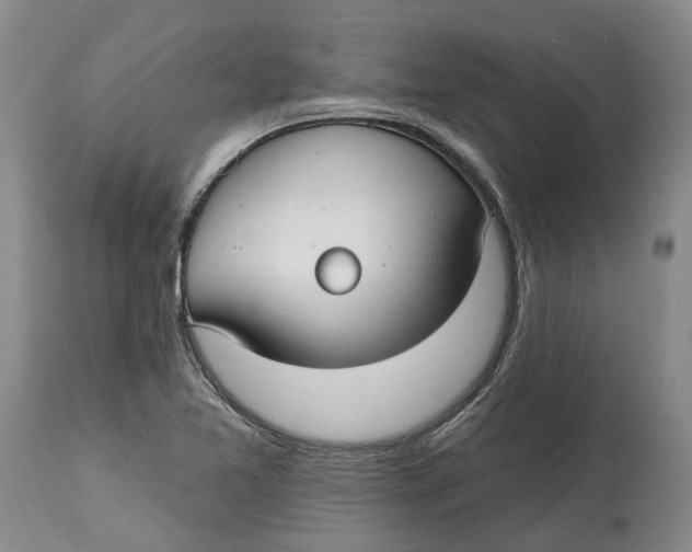 X0000114991365200911161504