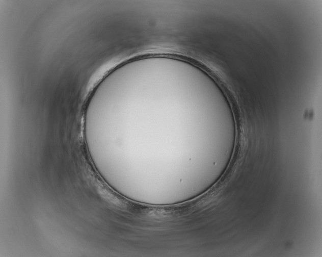 X0000114991366200911161504