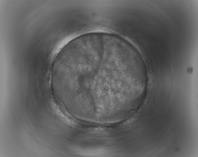 X0000114991367200911161503