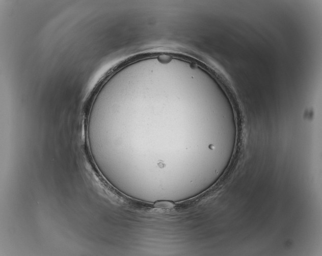 X0000114991368200911161503