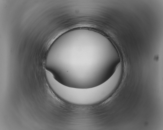 X0000114991369200911161503