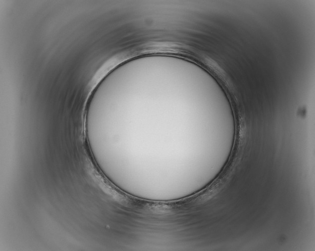 X0000114991370200911161503