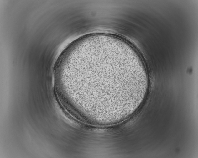 X0000114991371200911161503