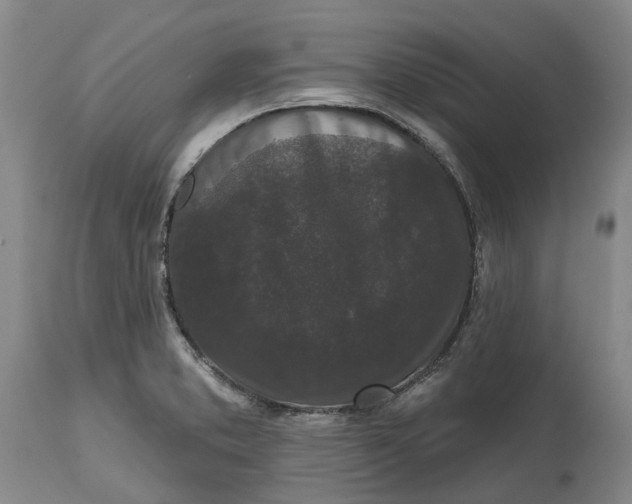 X0000114991373200911161503