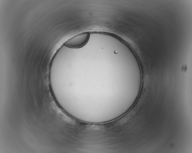 X0000114991374200911161503