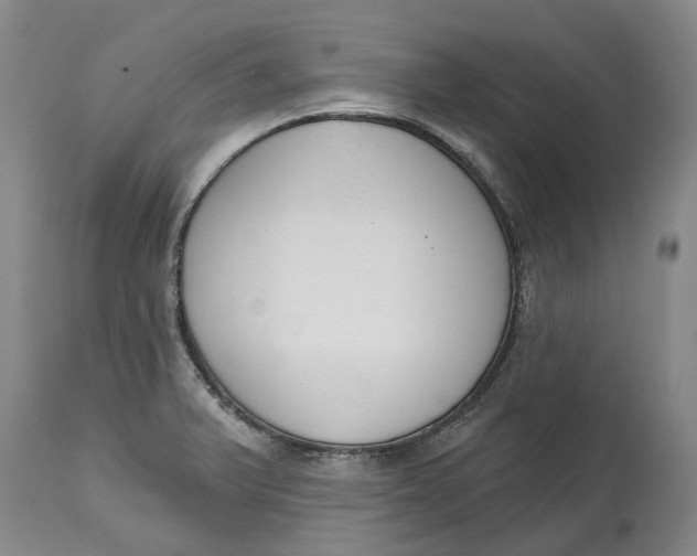 X0000114991375200911161503