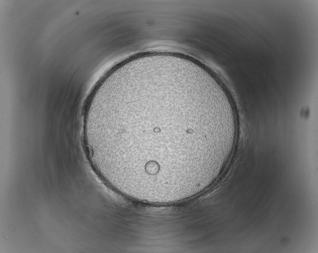 X0000114991376200911161503