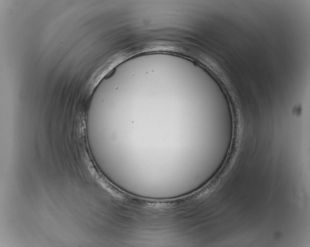 X0000114991377200911161503