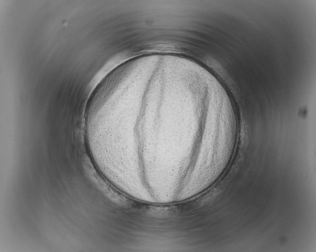 X0000114991378200911161503