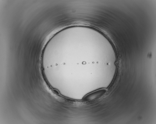 X0000114991379200911161503