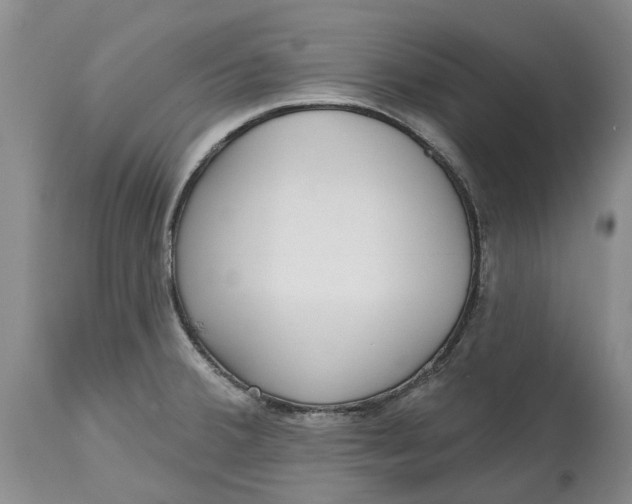 X0000114991380200911161503