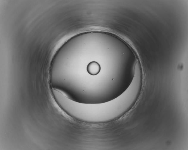 X0000114991381200911161503