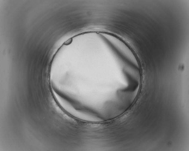 X0000114991382200911161503