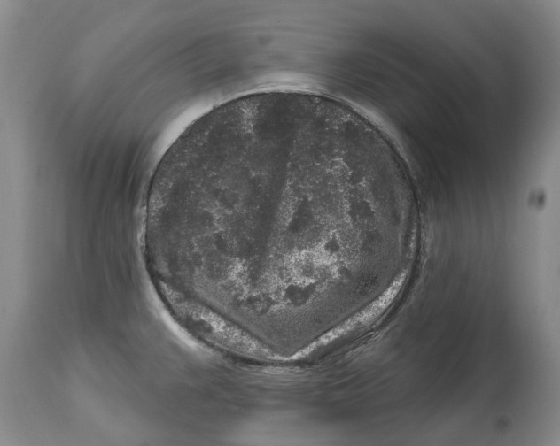 X0000114991383200911161503