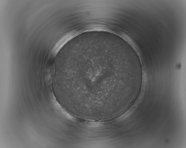 X0000114991385200911161503