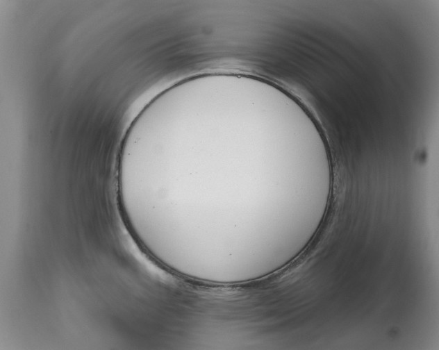 X0000114991387200911161503