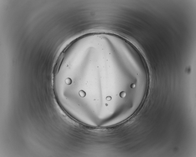 X0000114991388200911161503