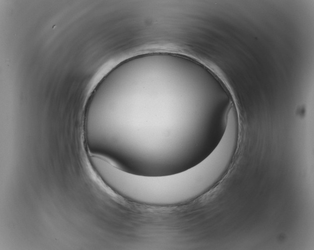 X0000114991389200911161503