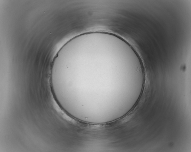 X0000114991390200911161503